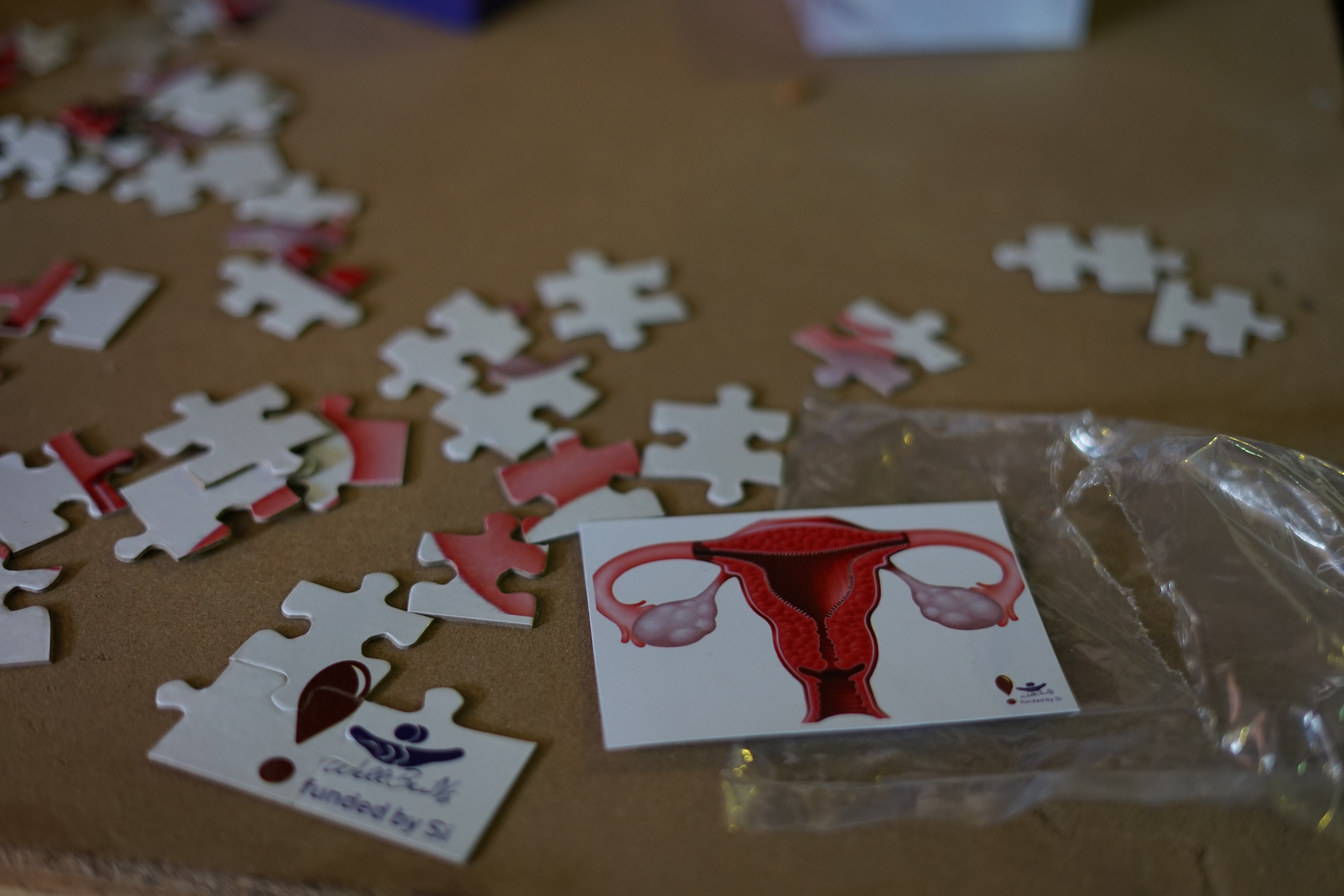 The SRHR Puzzles